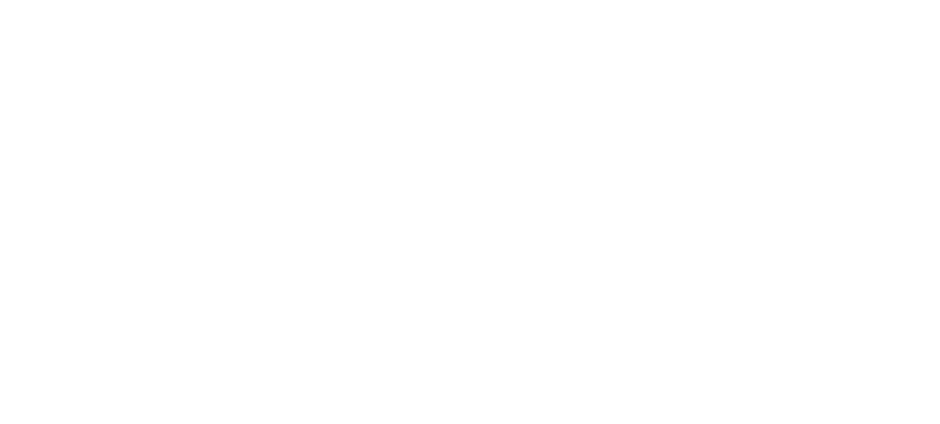 Beverley and Hornsea Scouts