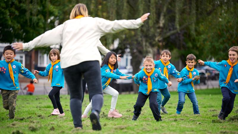 Beavers playing in park